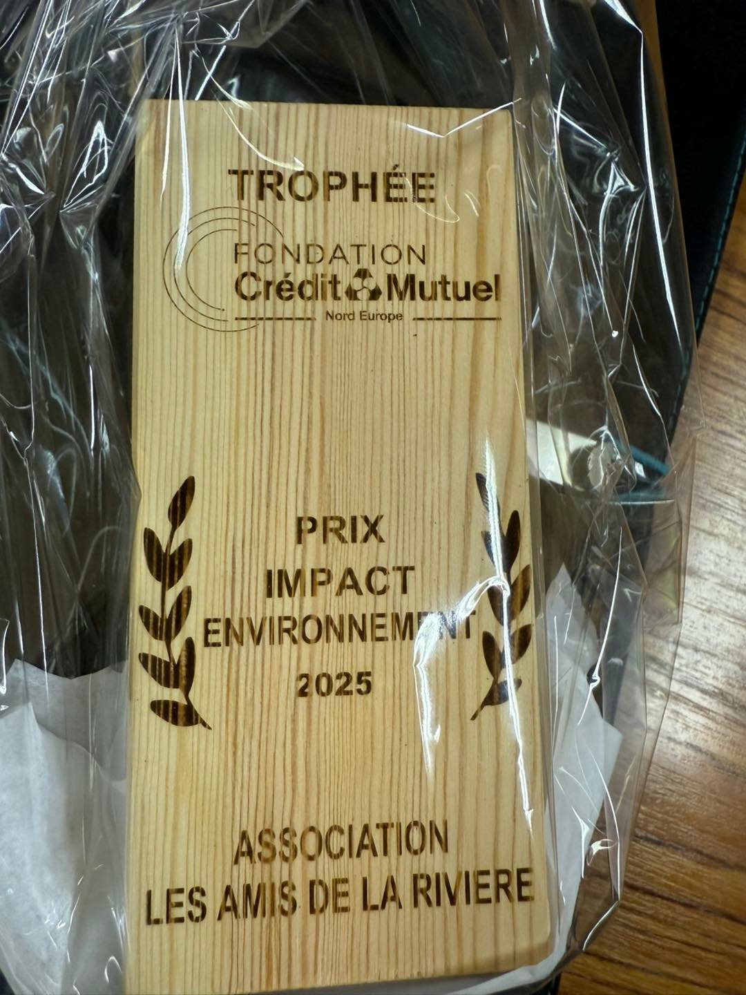 589946329_884483064238180_5863389233349292346_n