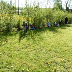 DSCN2468